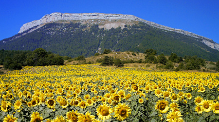 alpes de haute provence